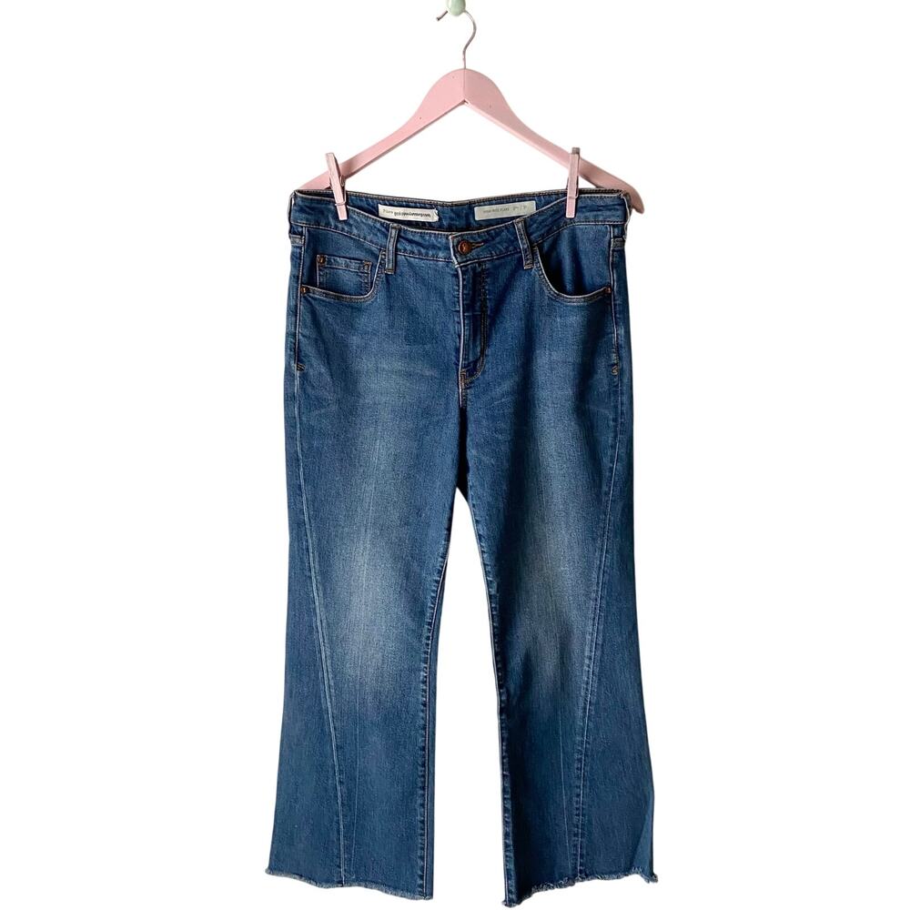 Anthropologie Pilcro and the Letterpress Jeans
